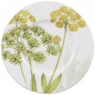 Athlea Nova Bread & Butter Plate