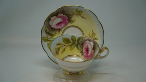 Foley Bone China Cup Saucer Roses Hand Painted Signed A.Taylor