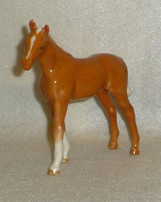 Palomino Foal