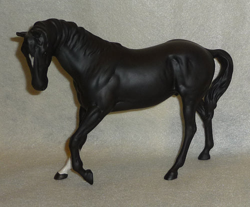 Horse - Black pawing