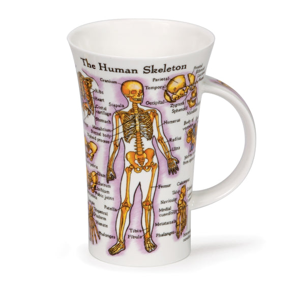 Dunoon Human Skeleton Glencoe shape Mug